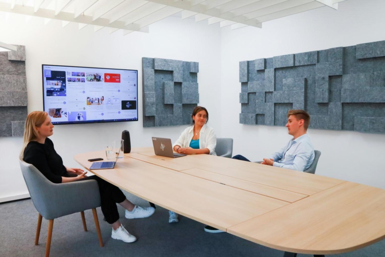 Professional business consultation meeting